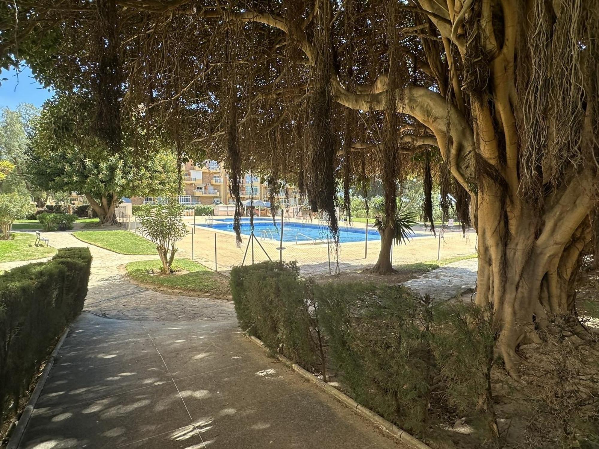 Estudio Agata Con Piscina A 800M De La Playa Benalmádena Εξωτερικό φωτογραφία
